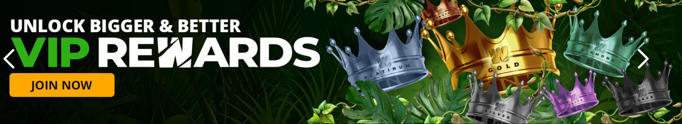 Club VIP y niveles de lealtad con premios en Wild Casino